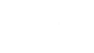 Strategic Grants